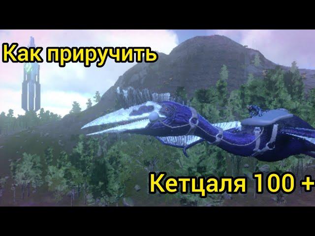 Выживание в Арк мобайл,как приручить кетцаля 100 +