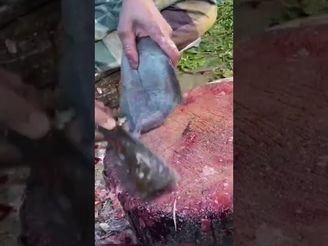 Amazingly Fast ️ Fish Cleaning  Skills  #shorts #fast #fish #cleaning #skills #streetfood