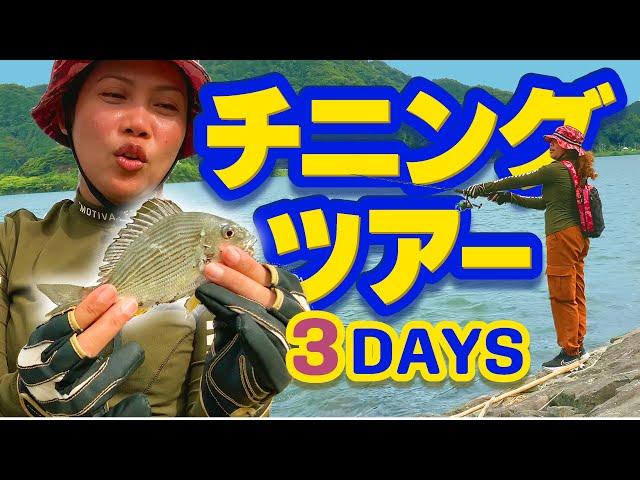 【チニング】初心者のチニング。Black sea bream fishing