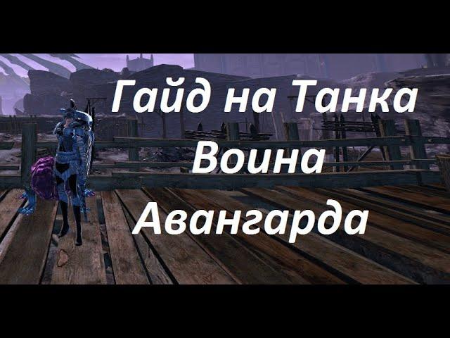 Гайд на Танка Воина Авангарда #Neverwinter online | m20