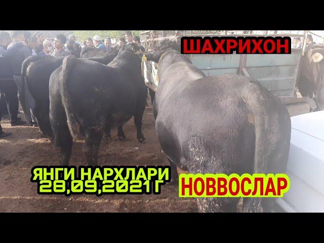 АНДИЖОН ШАХРИХОН ЧУЖА МОЛ БОЗОРИ НОВВОСЛАР НАРХЛАРИ 2021 ANDIJON SHAXRIHON CHÒJA MOL BOZORI NARXLARI