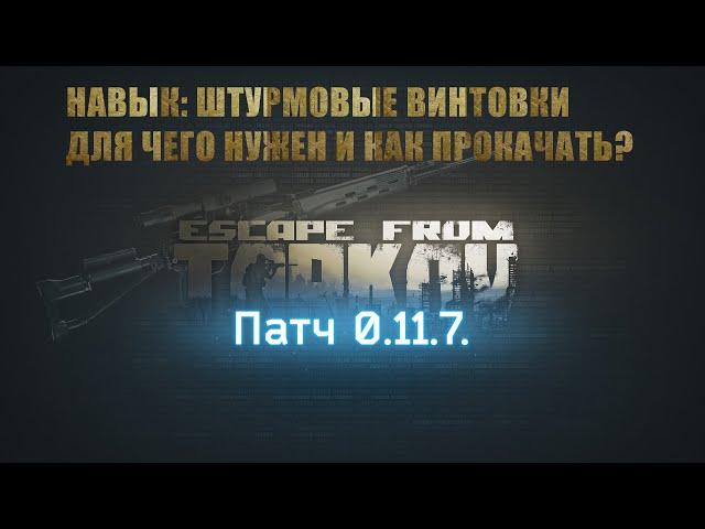 Escape from Tarkov. Навык: Штурмовые винтовки. как прокачать?