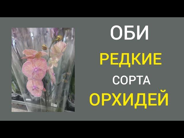 ОБИ Обзор растений и ЗАВОЗА РЕДКИХ сортов орхидей.