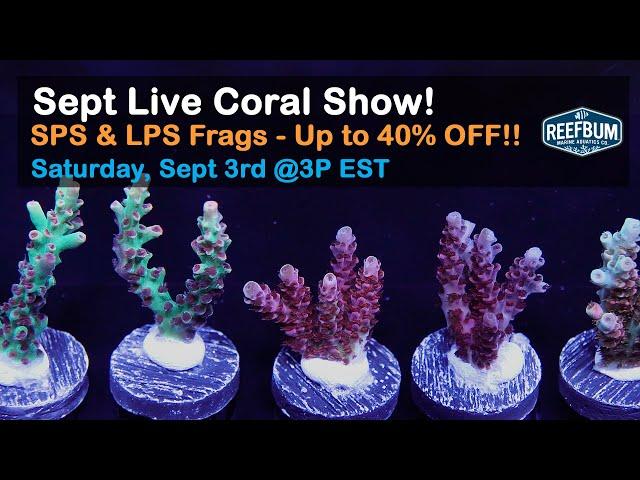 ReefBum's September 2022 Live Coral Sale