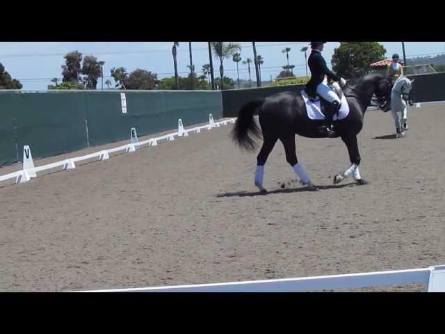 Del Mar FEI Warmup