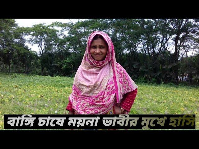 ফুট চাষে সফল ময়না ভাবী || বাংগি চাষ পদ্ধতি || ঝালকাঠি, বরিশাল || vhumi tv || vhumi krishi