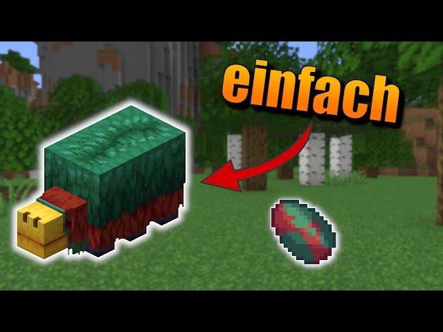 [1.20] Sniffer EINFACH erklärt!