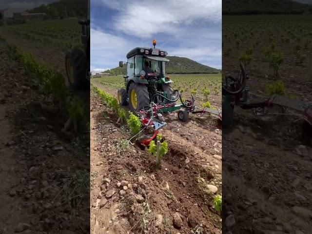 Spring Vineyard Works! @clemens.info