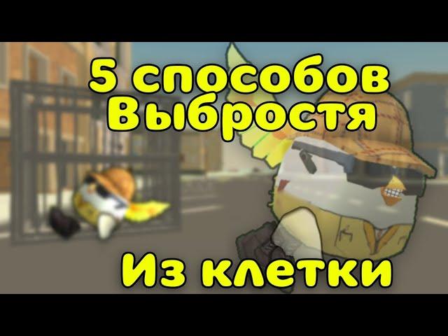 ️5 Способов Выбраться Из клетки️ В Чикен ган 