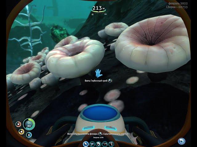 Глубинный гриб.Subnautica прохождение.