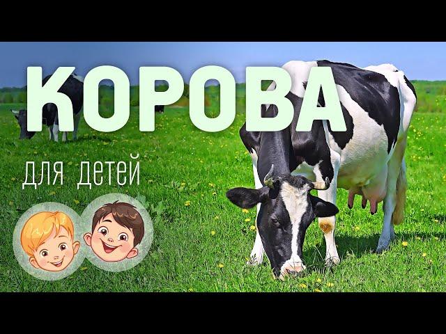 Корова. Видео про животных для детей 3+