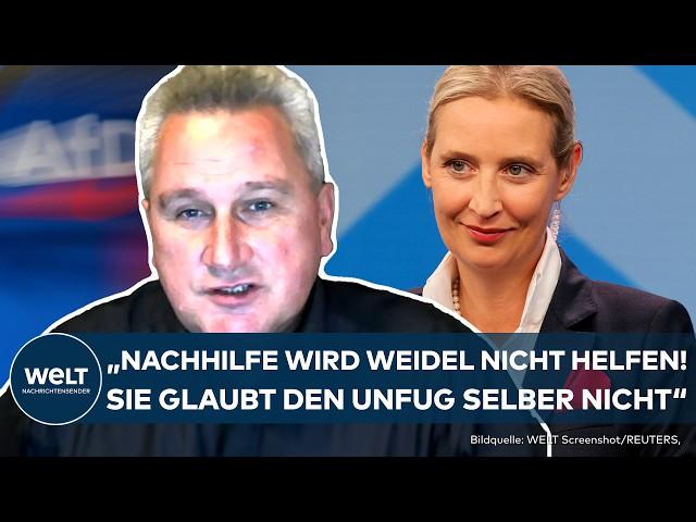 ALICE WEIDEL: "Hitler ein Kommunist und Sozialist?" - Darum nutzt die Afd diese Hitler-Propaganda