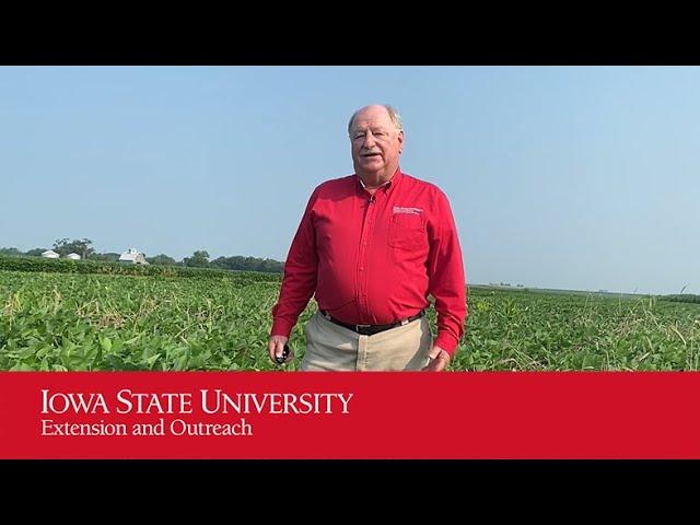 Integrated Weed Management Strategies in Soybeans