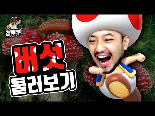 버섯(Mushroom)에 대해 알아보자