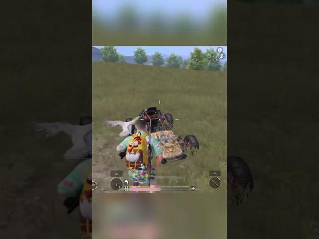 YOUTUBE SHOTS BGMI SERVER HACKER 55 kills #bgmi #shotsfeed #pubgmobile #pubg #shots