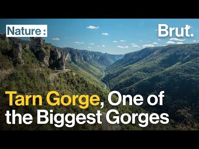 Tarn Gorge, One of the Biggest Gorges in All of Europe