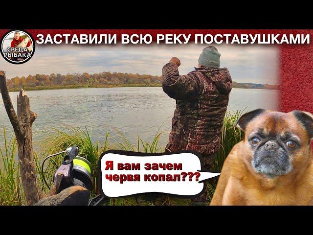 НЕУЛОВИМЫЙ НАЛИМ! Осенняя РЫБАЛКА на ЗАКИДУШКИ и донки. Ресторан В ПАЛАТКЕ! 2021