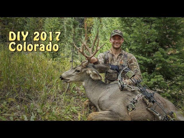 DIY Colorado Mule Deer 2017