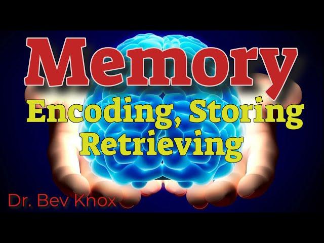 Psychology of Memory Encoding, Storing & Retrieving