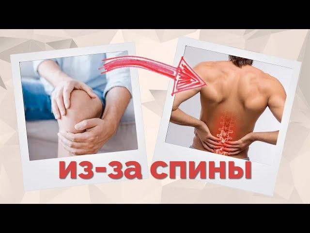 Боль в коленях и поясница. Связь? Как это лечить?