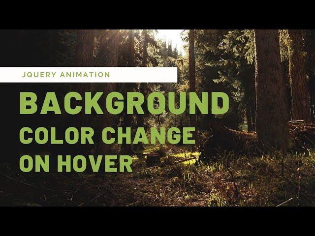 Jquery Background Color change on Hover | Jquery Animation Tutorial