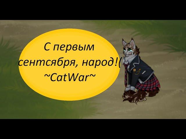 С 1 Сентября, народ! / CatWar