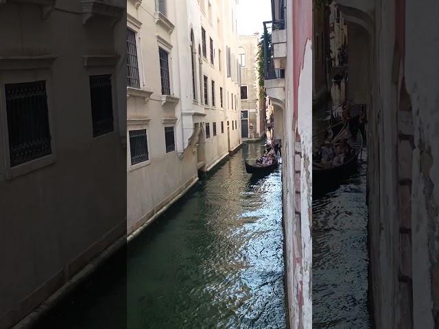 VENEZIA UNICA