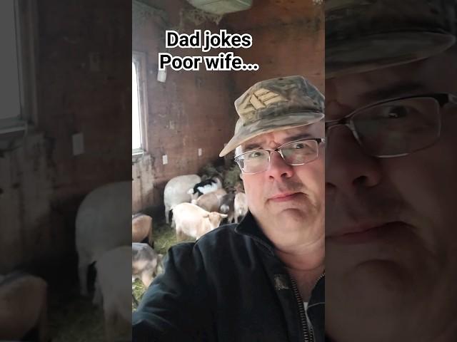 dad jokes #comedy #animals #farmlife #happy #funny #dadjokes #goat #wife #marriage