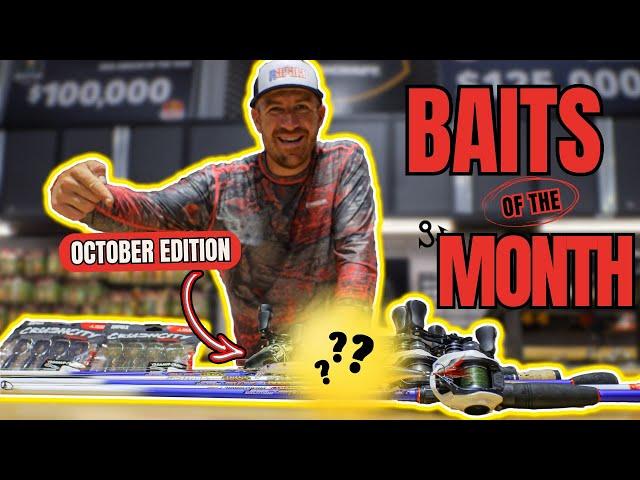 TOP BAITS of the MONTH October 2024 Edition