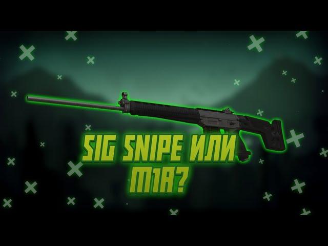 M1A или SIG SNIPE? | STALCRAFT "В ДВУХ СЛОВАХ"