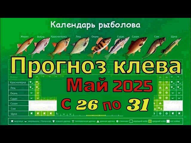 Прогноз клева рыбы на Эту неделю с 26 по 31 Мая 2025 по лунному календарю
