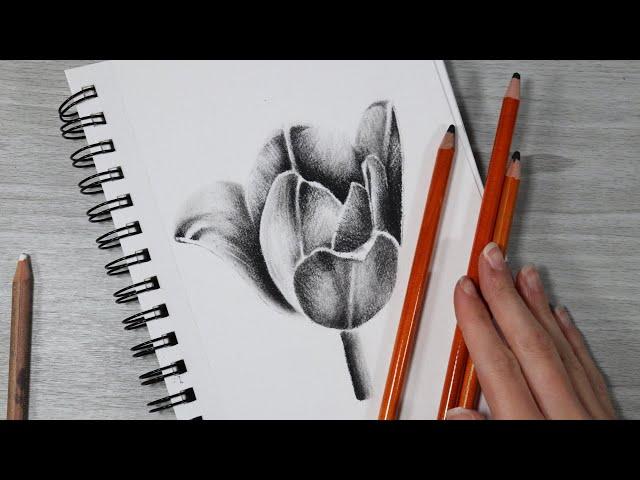 HOW I USE CHARCOAL PENCILS FOR BEGINNERS + Flower Demo