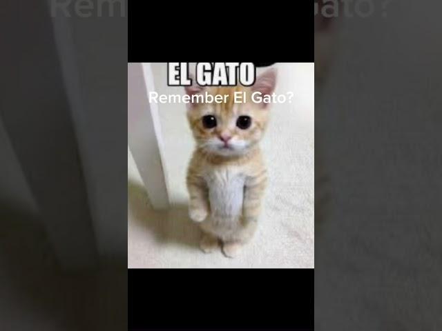 El Gato was a legend