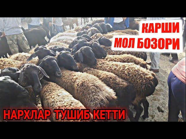 8 Август Кашкадарё Карши Мол Бозори Нархлари Куй Кузи Нархлари / Qarshi Mol Bozori Narxlari 2021