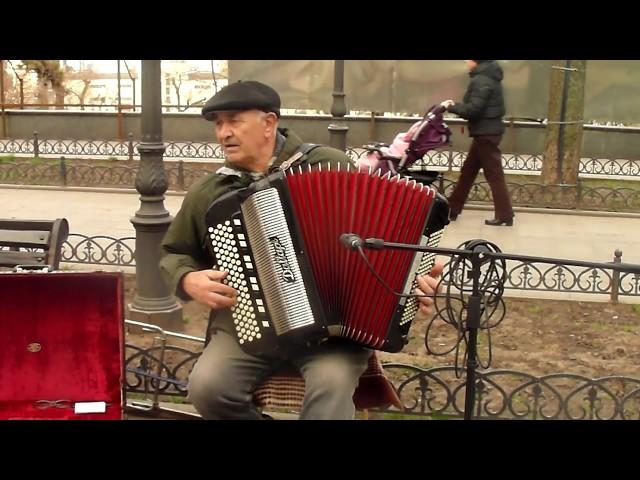 Песни на баяне, Одесса, Приморский бульвар / Old Songs on the Accordion