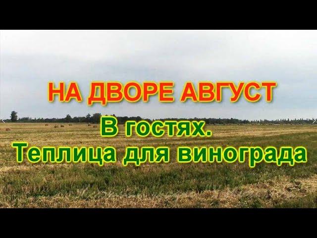 На дворе Август. В гостях.  Теплица для винограда.