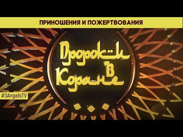 Приношения и пожертвования | Пророки в Коране