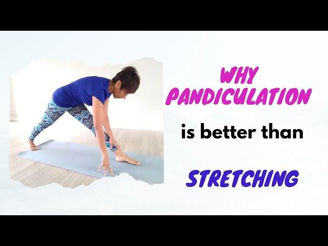 Pandiculation|The difference between a stretch and pandiculation. A somatic movement guide