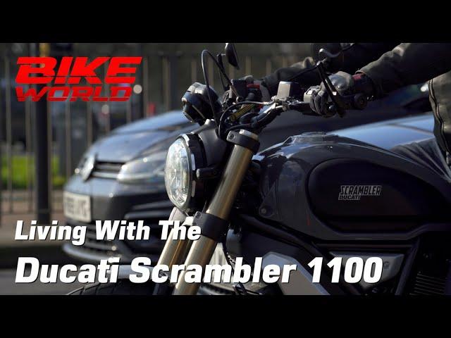 We've been living with the Ducati Scrambler 1100, in glorious 4K