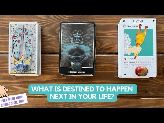 What is Destined to Happen Next in Your Life? | Timeless Reding