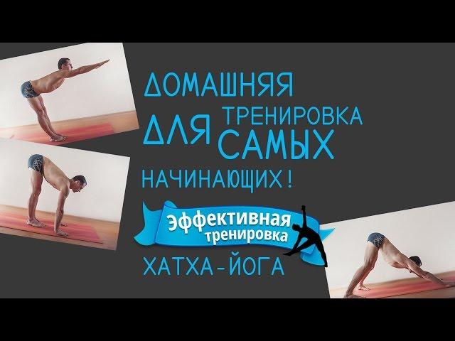 Домашняя тренировка для самых начинающих!