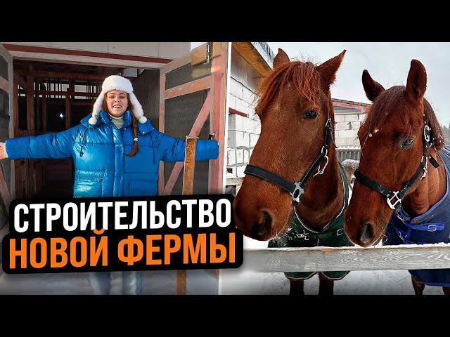 СТРОИТЕЛЬСТВО НОВОЙ БОЛЬШОЙ ФЕРМЫ | Обзор конюшни