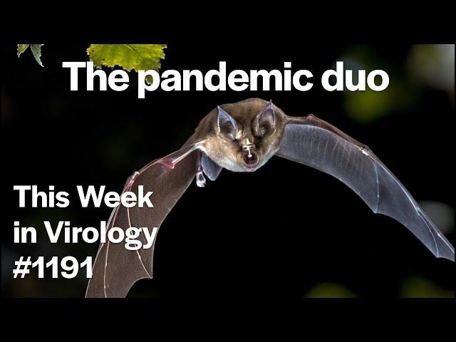 TWiV 1191: The pandemic duo