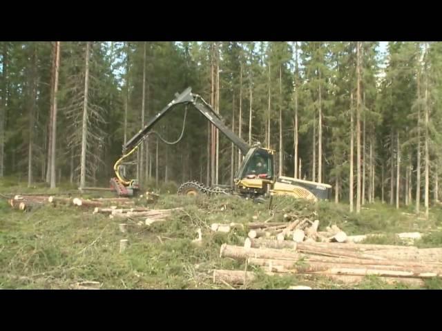 Eco Log 590D equipped with a Log Max 6000 with accumulation kit Forestry Machine