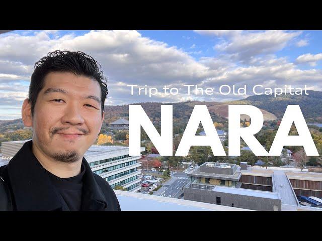 Discover Nara : Top Things to See, Eat and Tips【The Old Capital #1】