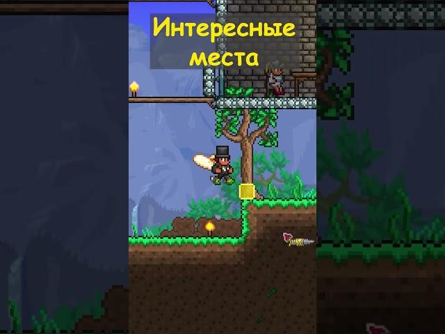TERRARIA: ЧЁ ДЕЛАТЬ В ЛЕСУ?!