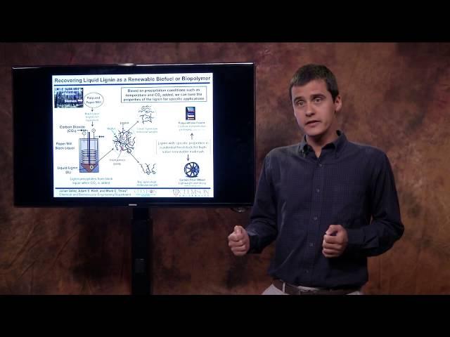 Clemson University 3-Minute Thesis 3rd Place (tie), 2014, Julian Velez (Chemical Engineering)