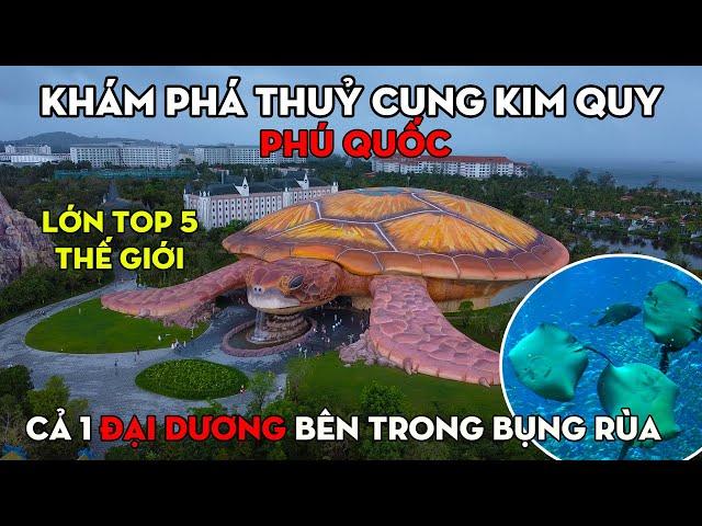 [[Phú Quốc]] Khám Phá Thuỷ Cung Kim Quy Siêu Khổng Lồ - Cả 1 "Đại Dương" Bên Trong Bụng Rùa!!