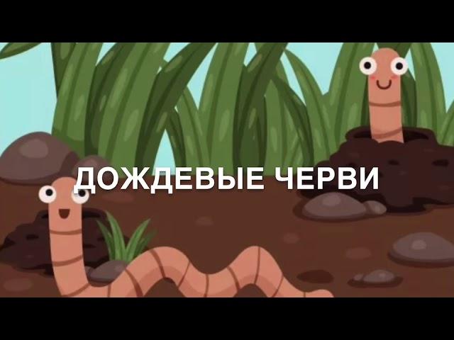 Дождевые черви