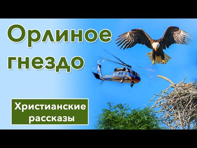 ИНТЕРЕСНЫЙ ХРИСТИАНСКИЙ РАССКАЗ | Орлиное гнездо | Христианские рассказы